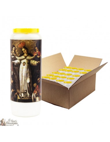 Virgin Mary Novena kaarsen van goede levering - 20 stuks