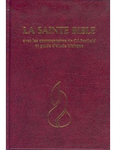  LA SAINTE BIBLE - BIBLE SEGONS 1910 (COUVERTURE VINYLE BLEU  MARINE EMBOSSAGE ARGENT): 9788941290605: COLLECTIF: Books